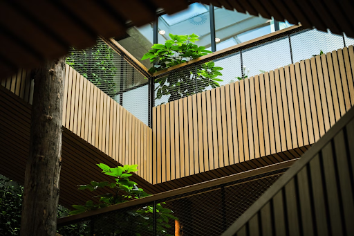 Green plywood options reducing carbon footprint in building